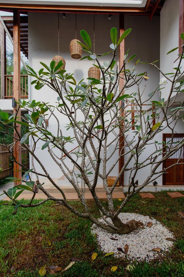 Foresta Villa Hang Dong Exterior photo