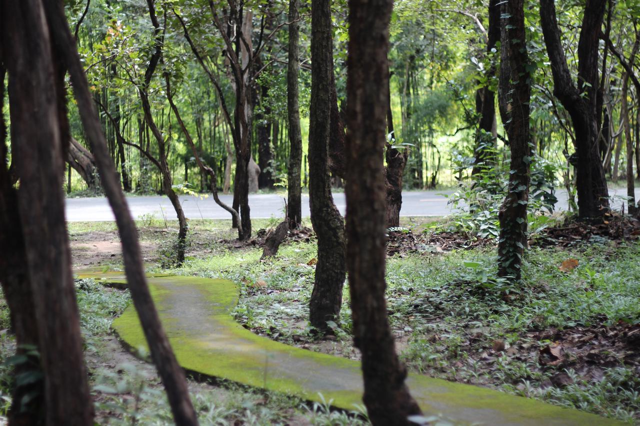 Foresta Villa Hang Dong Exterior photo